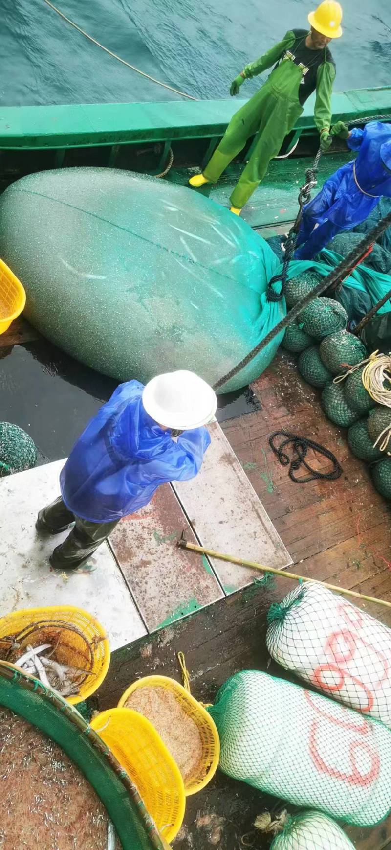 虾皮袋装散装货量大品质鲜香价格合理