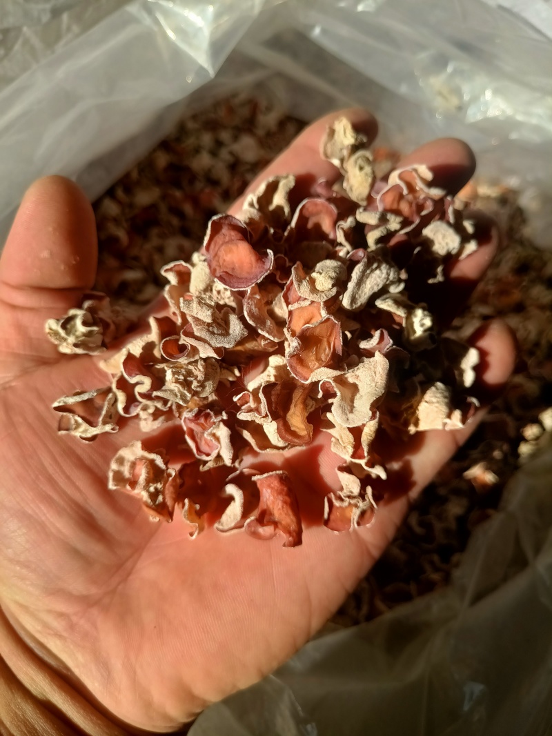 单片粉木耳粉耳自产自销粉木耳产地直发粉木耳价格不高粉木耳