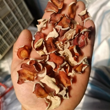 粉木耳第一名粉耳销售有限公司粉木耳实力厂家粉木耳现货供应