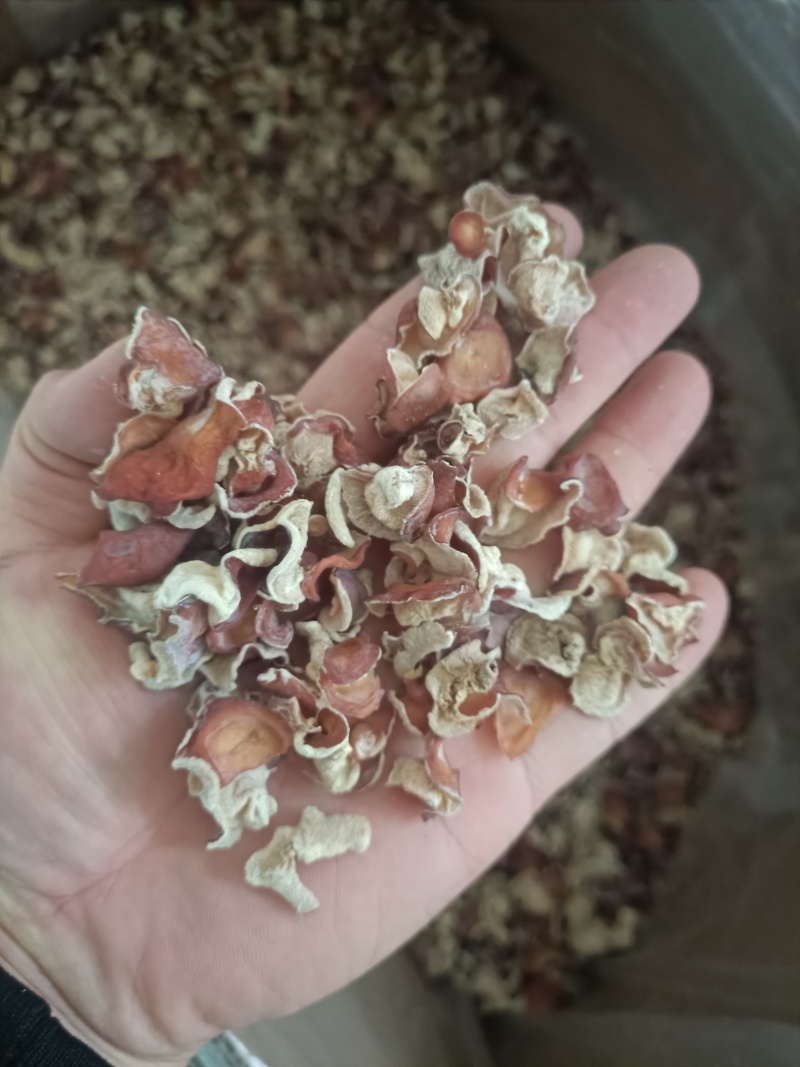 粉木耳第一名粉耳销售有限公司粉木耳实力厂家粉木耳现货供应
