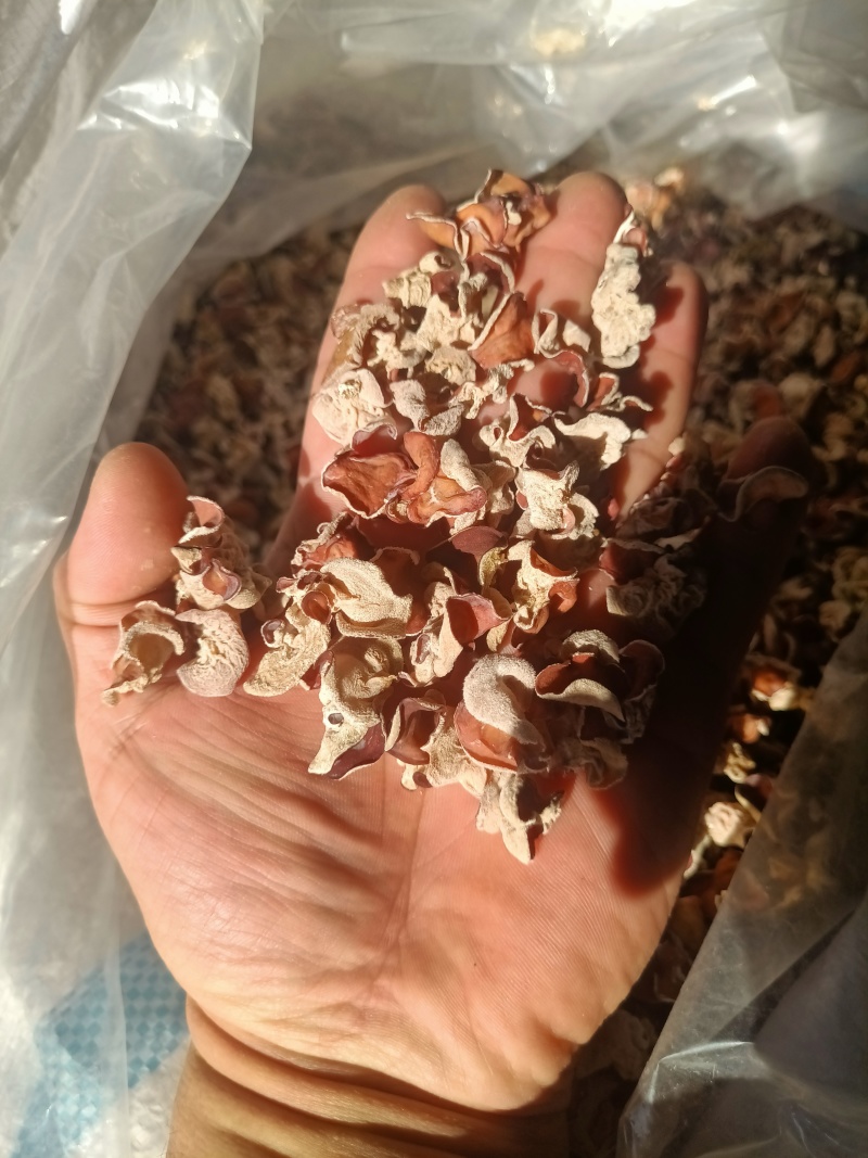 粉木耳第一名粉耳销售有限公司粉木耳实力厂家粉木耳现货供应
