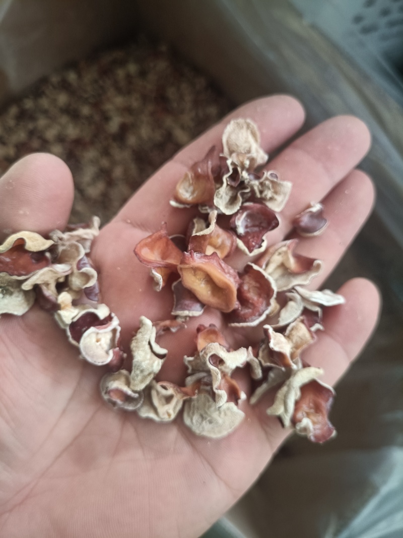 粉木耳第一名粉耳销售有限公司粉木耳实力厂家粉木耳现货供应