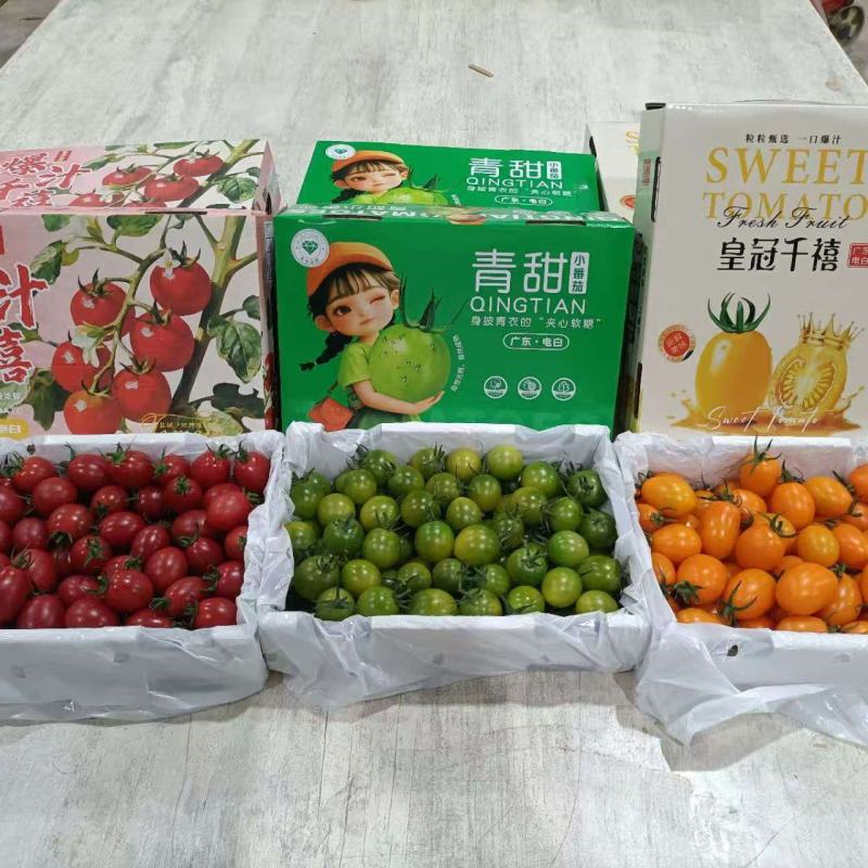 广东精品电白千禧圣女果红黄青果。大量有货：有需要的商超；