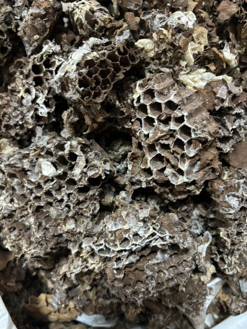 家蜂房中药材土蜂房山蜂房硬蜂房马蜂窝蜂巢黄蜂巢