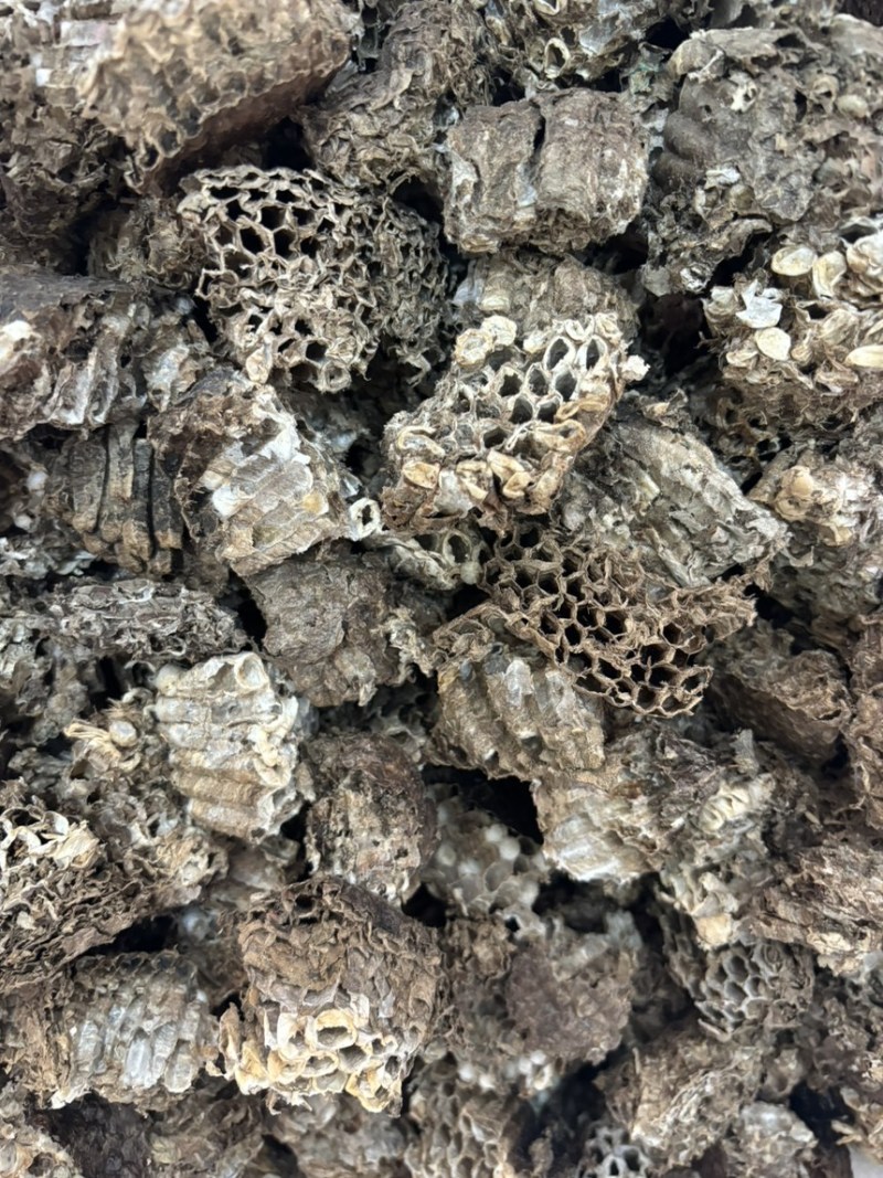 家蜂房中药材土蜂房山蜂房硬蜂房马蜂窝蜂巢黄蜂巢