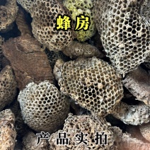 家蜂房中药材土蜂房山蜂房硬蜂房马蜂窝蜂巢黄蜂巢