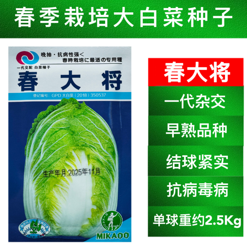 春大将大白菜种子春夏秋冬季四季播种耐热耐寒高产抗病蔬菜种