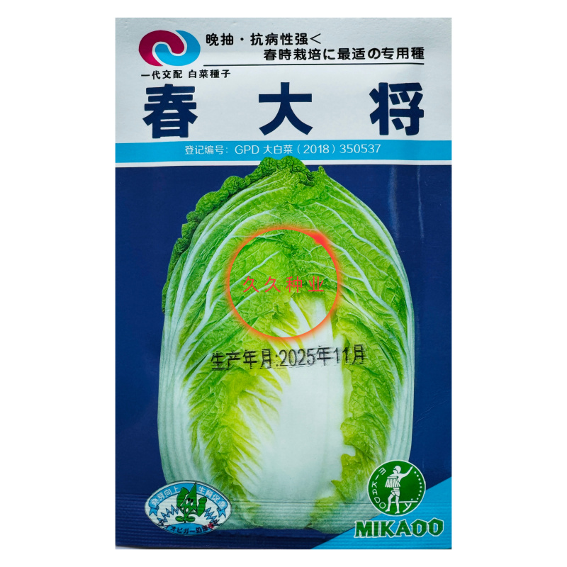 春大将大白菜种子春夏秋冬季四季播种耐热耐寒高产抗病蔬菜种