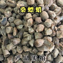 桑螵蛸中药材桑蛸桑螵蛸