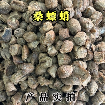 桑螵蛸中药材桑蛸桑螵蛸