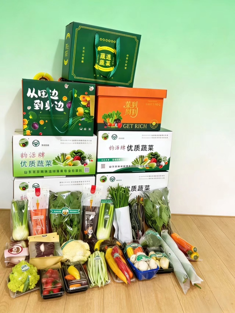 精装套菜蔬菜礼包量大从优