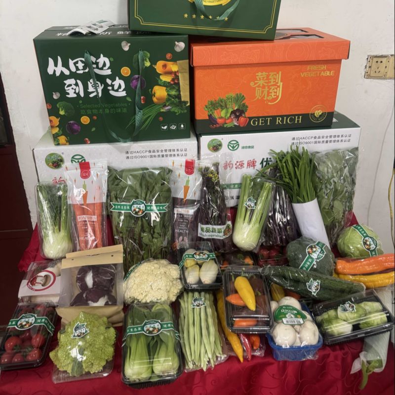 蔬菜礼包一手货源价格低质量好