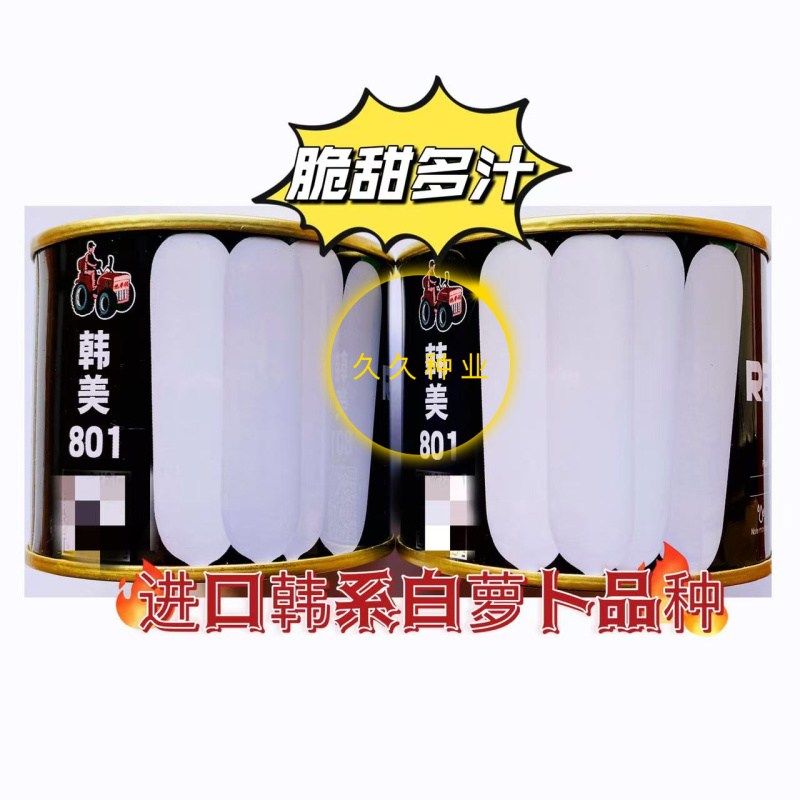 韩美801萝卜种子杂交耐热夏秋55天收获进口种子耐运输