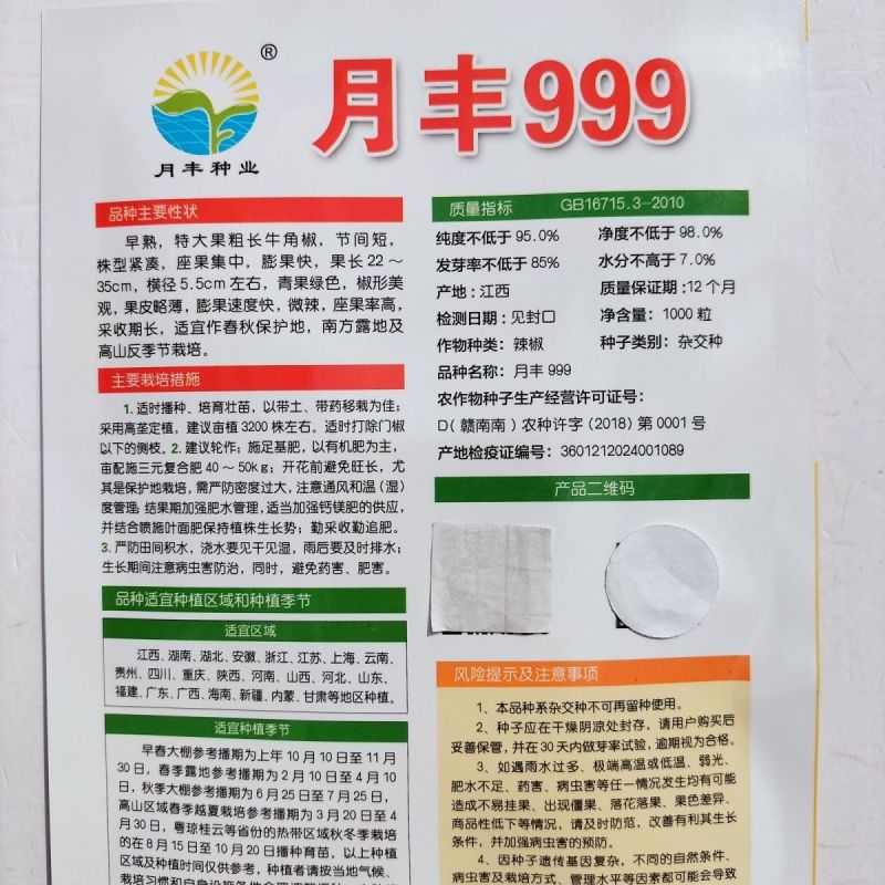 月丰999特大果薄皮椒种子大果高产果型整齐清脆大田基地用