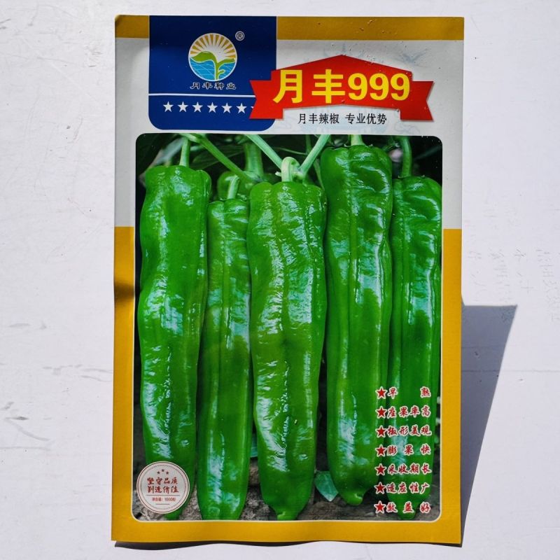 月丰999特大果薄皮椒种子大果高产果型整齐清脆大田基地用
