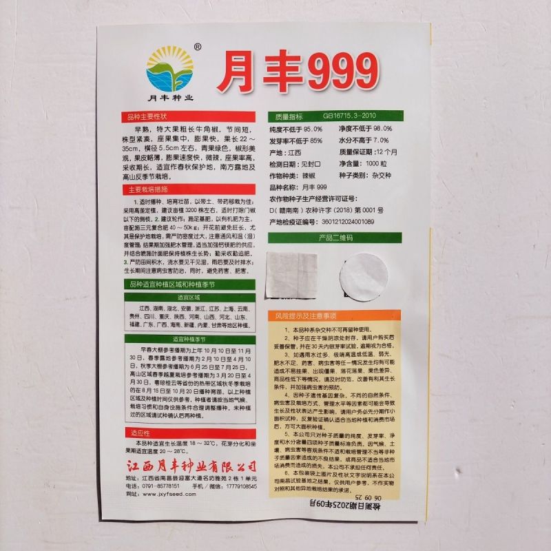 月丰999特大果薄皮椒种子大果高产果型整齐清脆大田基地用