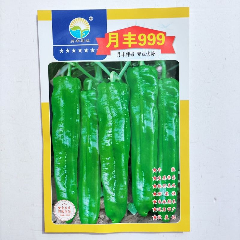 月丰999特大果薄皮椒种子大果高产果型整齐清脆大田基地用