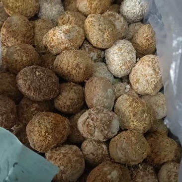 稻糠包泥松花蛋厂家直销一手货源，价格便宜，货源充足。山东