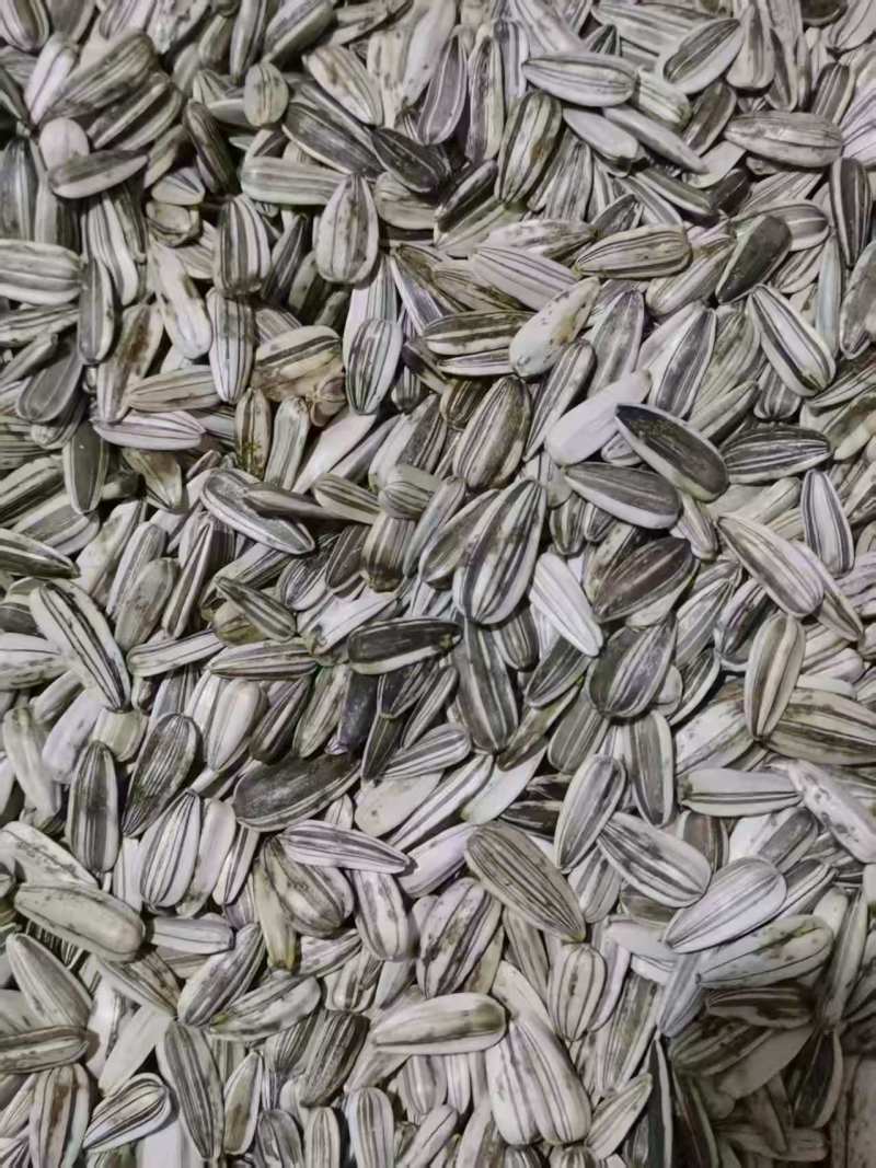 干瓜子，自家种的。一共300多斤