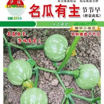 南瓜种子名瓜有主扁圆南瓜杂交种老嫩兼用嫩瓜靓老瓜甜面