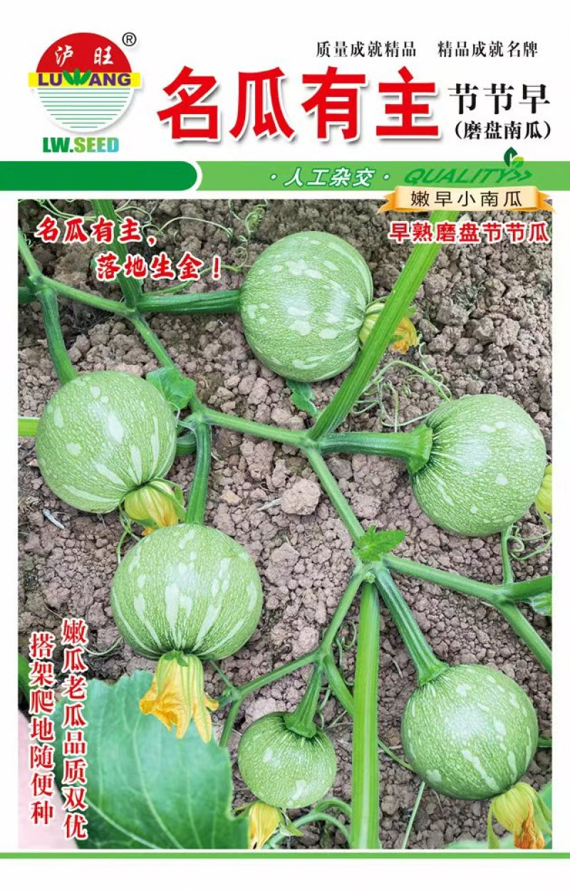 南瓜种子名瓜有主扁圆南瓜杂交种老嫩兼用嫩瓜靓老瓜甜面