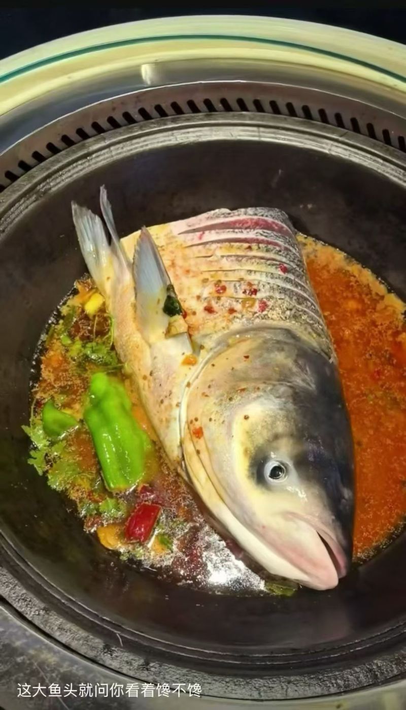 查干湖胖头鱼