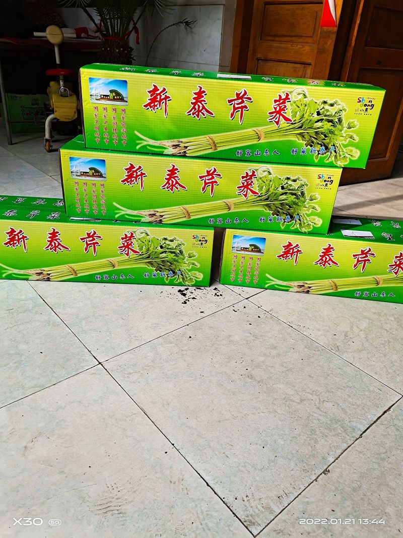 新泰玻璃脆芹菜