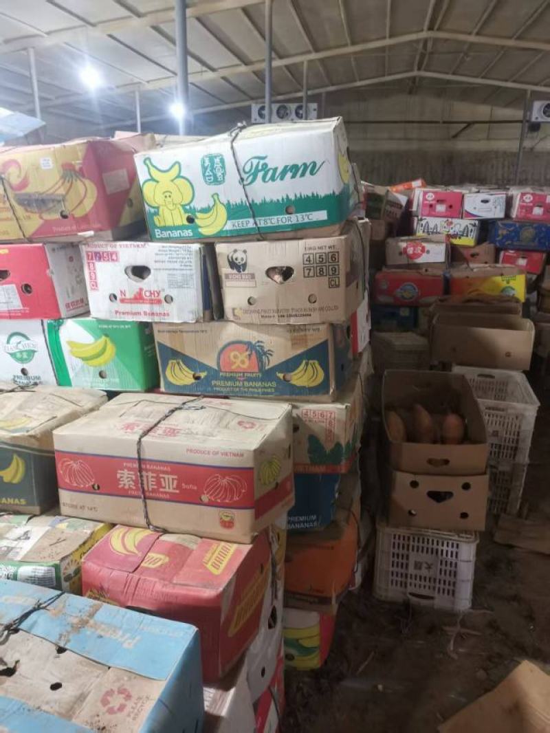 内蒙好货，通辽烟薯，口感品质，红薯市场扛把子