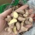 紫衣腰果大果180大量到货无坏果