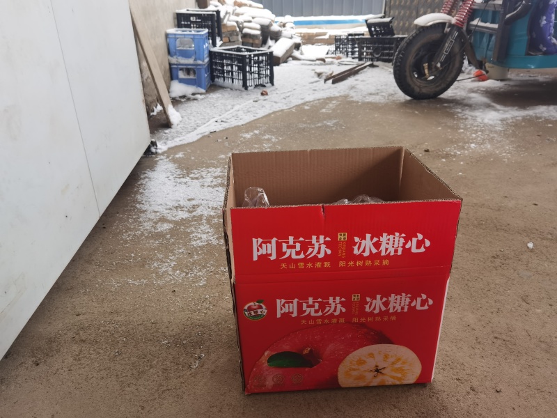 山西高原优质红富士