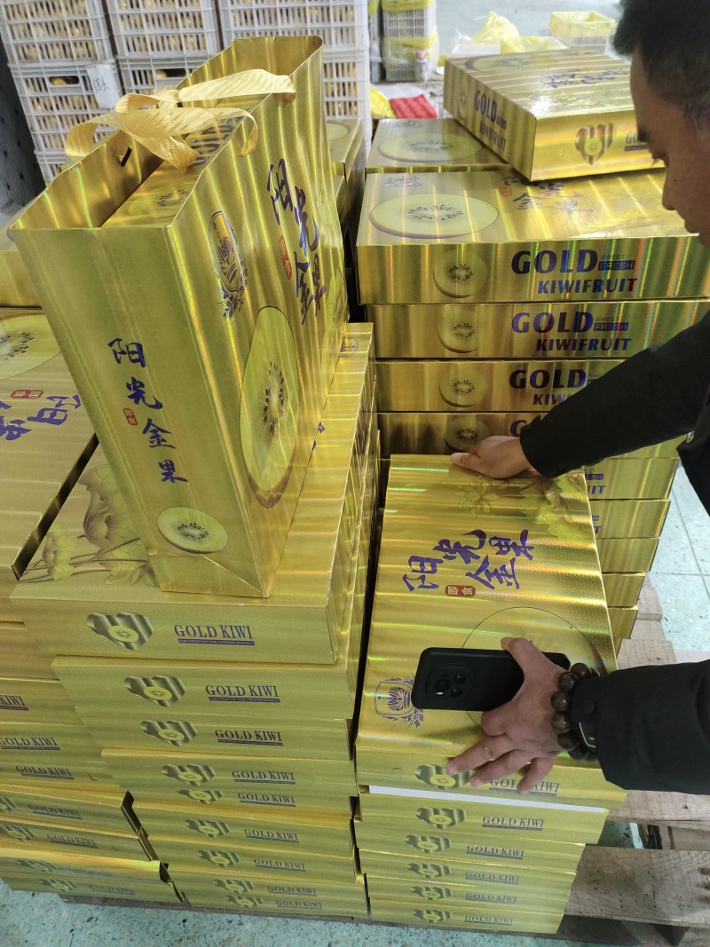 年货礼盒装猕猴桃/黄心猕猴桃/金桃产地源头直发