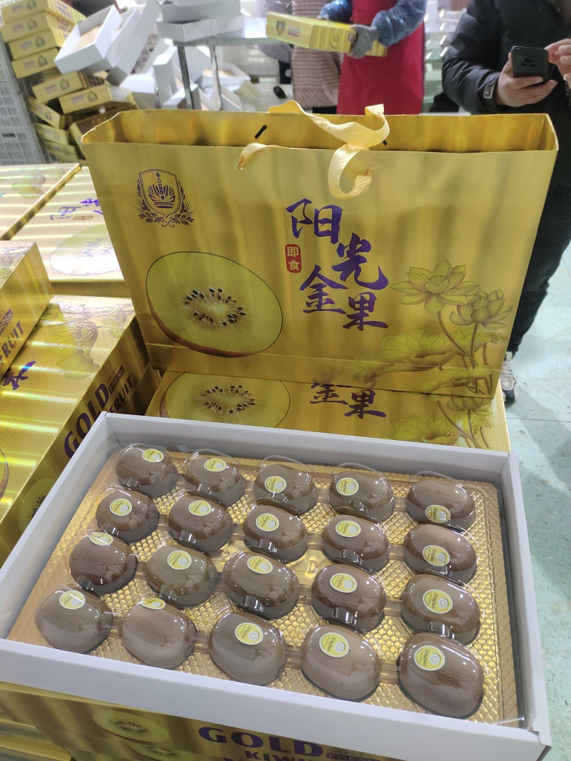 年货礼盒装猕猴桃/黄心猕猴桃/金桃产地源头直发