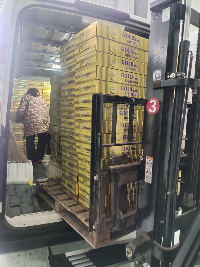 年货礼盒装猕猴桃/黄心猕猴桃/金桃产地源头直发