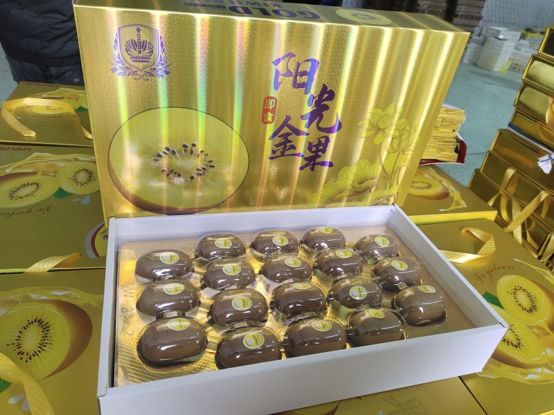 年货礼盒装猕猴桃/黄心猕猴桃/金桃产地源头直发