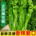 【螺丝椒】海南鲜辣椒现货供应15~20厘米中辣全国可发货