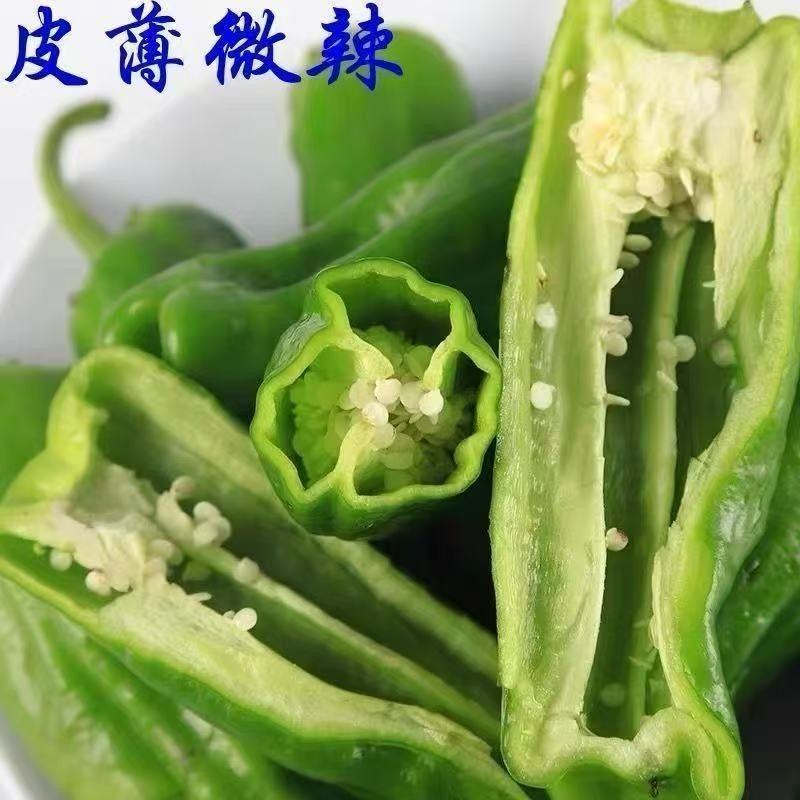 海南精品泡椒，全国发货，欢迎进店沟通，产地直发