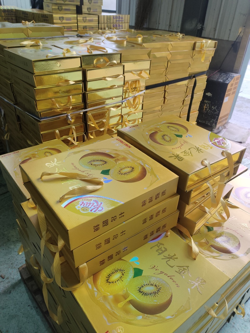 年货礼盒装猕猴桃/黄心猕猴桃/金桃产地源头直发