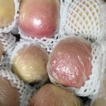苹果糖分充足，个头饱满，可发往全国，欢迎各位老板咨询详谈