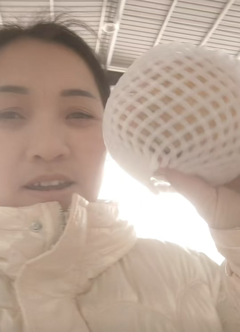 苹果糖分充足，个头饱满，可发往全国，欢迎各位老板咨询详谈