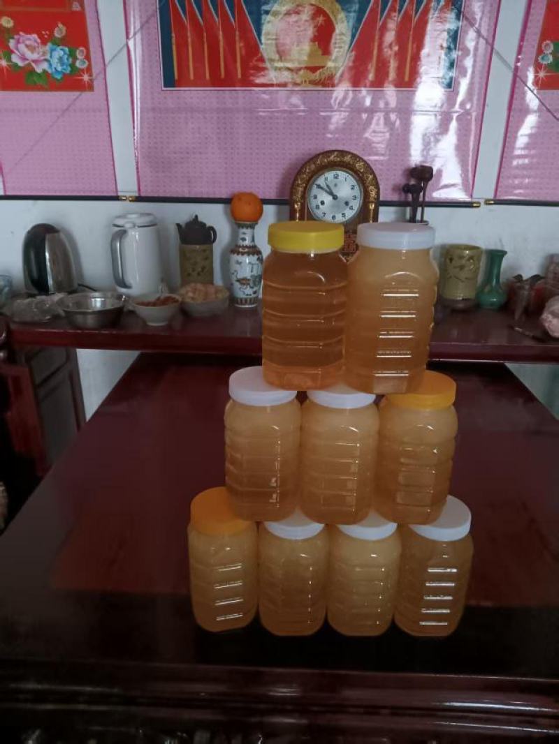 黄山新鲜批把蜜，农家自产自销，品质保障，量大从优