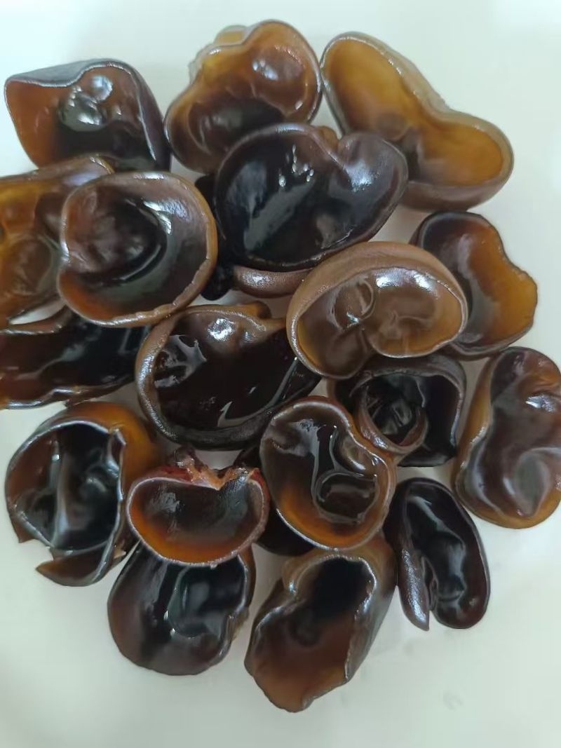 精品秋木耳碗耳老鼠耳，东北发货正宗黑木耳