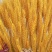 麦穂干花欢迎老板选购260一件