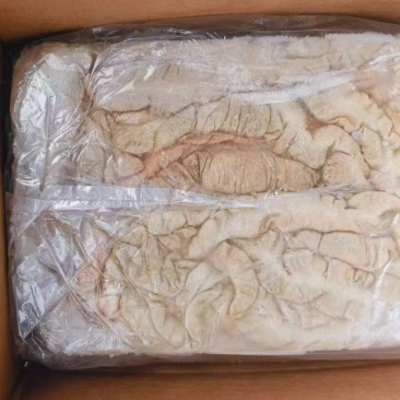二级预煮大肠