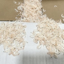 东海区特产纯干淡虾皮