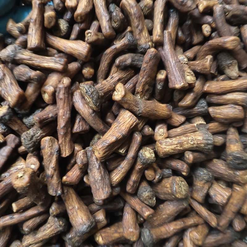 蒲公英茶用公英根蒲公英根茶用新货味道好产地山西