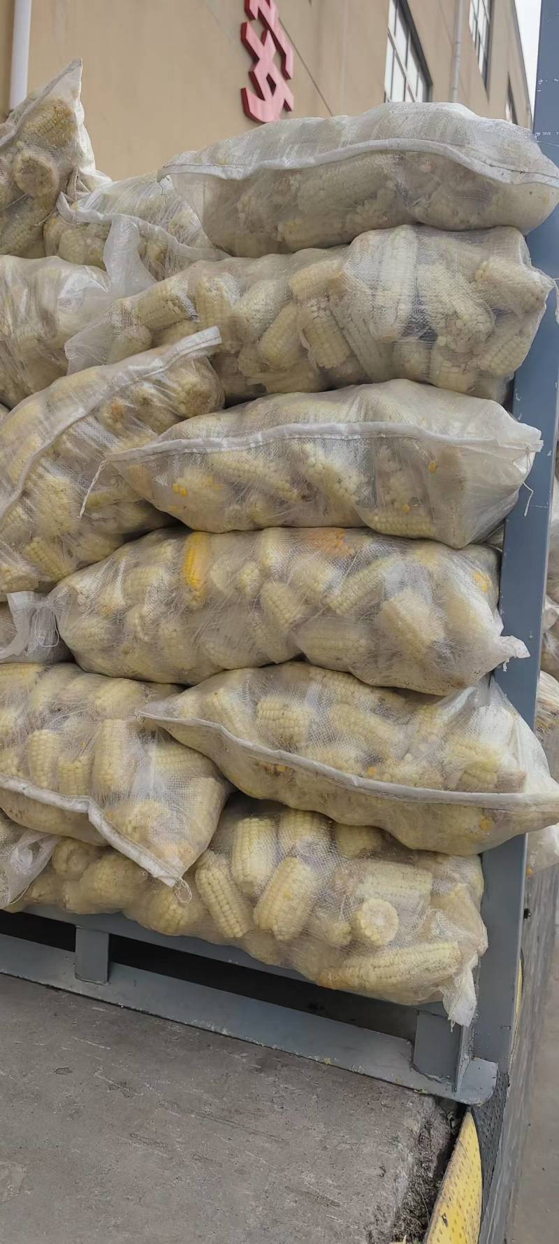 熟糯玉米