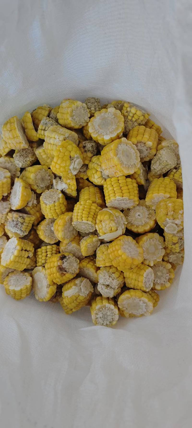 熟糯玉米