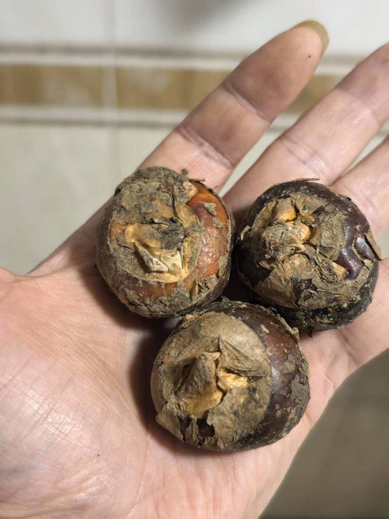 现挖马蹄电商一件发货抖音～拼多多24小时揽收发货