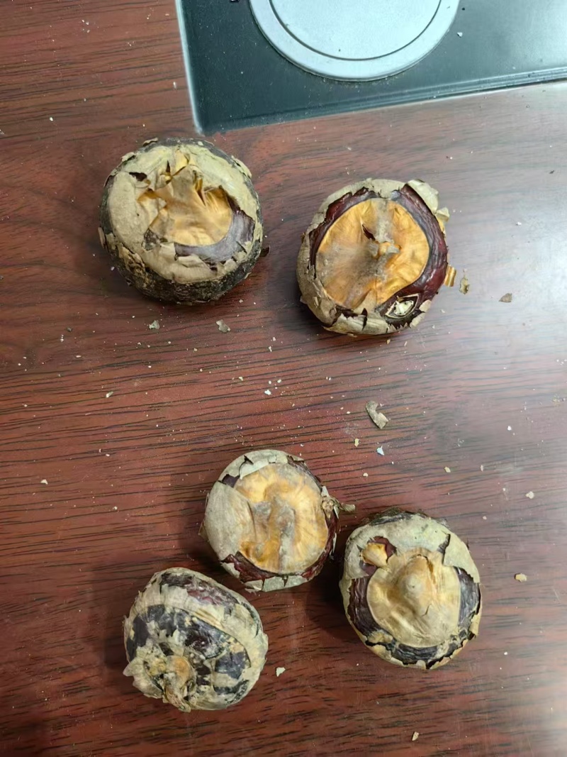 现挖马蹄电商一件发货抖音～拼多多24小时揽收发货