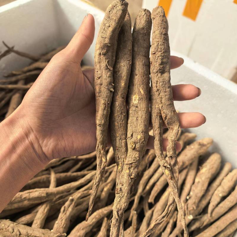 阿坝干当归藏当归甜当归干当归当归